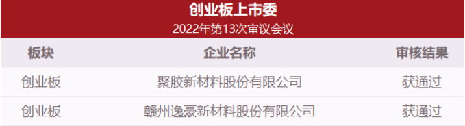 创业板上市委2022年第13次审议会议